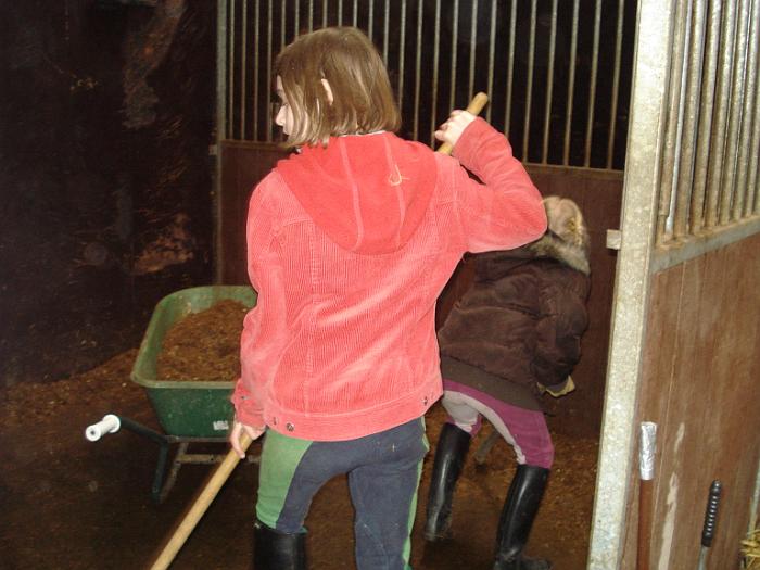 The Horse Farm3.JPG - Afbeelding van: The Horse Farm